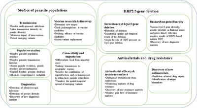 Potential Opportunities and Challenges of Deploying Next Generation Sequencing and CRISPR-Cas Systems to Support Diagnostics and Surveillance Towards Malaria Control and Elimination in Africa